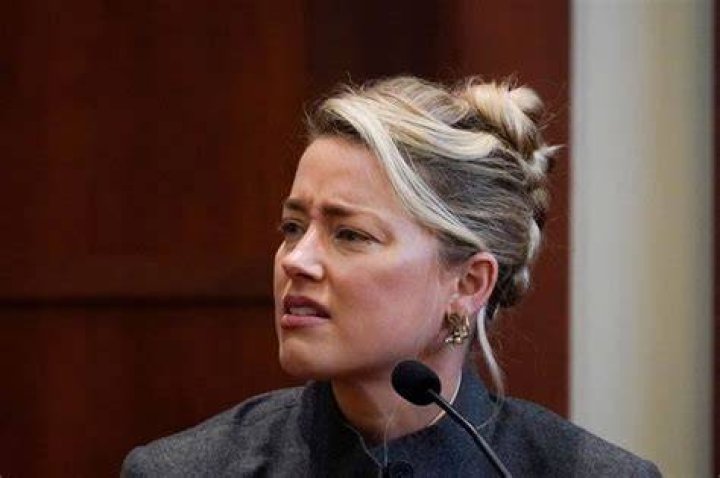 
Fans Notice Amber Heard’s Bee Earring During The Trial, But How Is It Significant? 