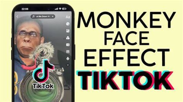
How To Get The Monkey Face Filter On TikTok? 