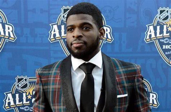 
PK Subban Height, Weight, Net Worth, Age, Birthday, Wikipedia, Who, Nationality, Biography 