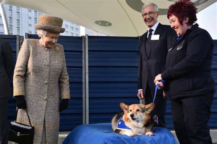 
Queen Elizabeth’s Corgis To Live With Prince Andrew And Ex-Wife Sarah Ferguson 