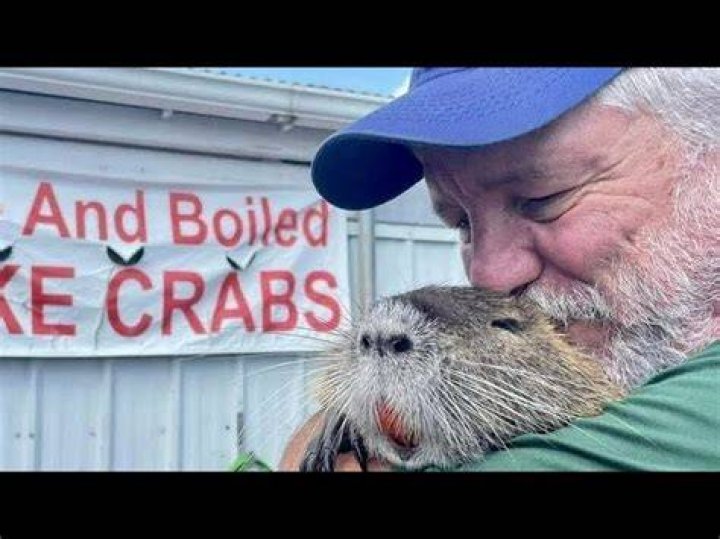 
What is a pet nutria rat? Louisiana couple given permit to keep 22-pound TikTok-famous rodent 